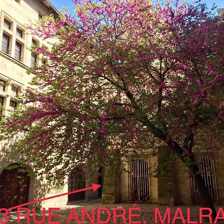 Appartement A 50 M De La Place Aux Herbes ユゼ エクステリア 写真