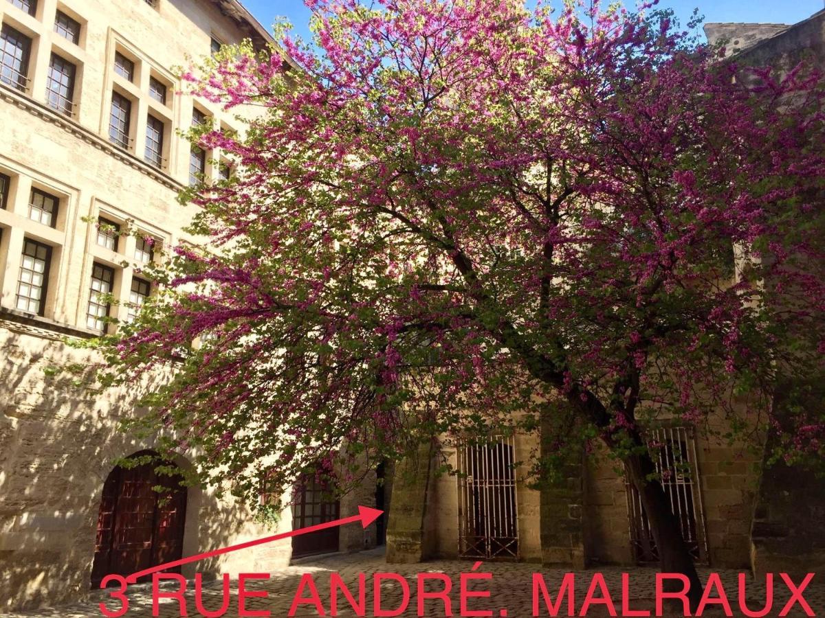 Appartement A 50 M De La Place Aux Herbes ユゼ エクステリア 写真
