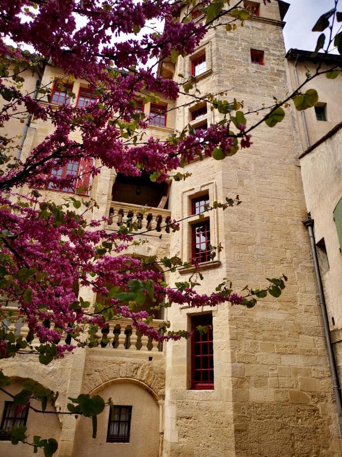 Appartement A 50 M De La Place Aux Herbes ユゼ エクステリア 写真